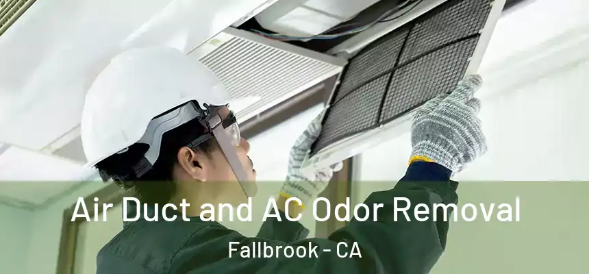  Air Duct and AC Odor Removal Fallbrook - CA