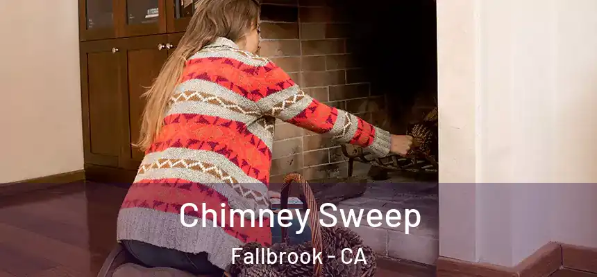  Chimney Sweep Fallbrook - CA