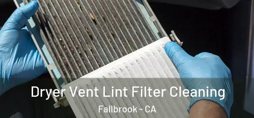  Dryer Vent Lint Filter Cleaning Fallbrook - CA