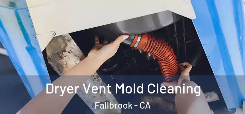  Dryer Vent Mold Cleaning Fallbrook - CA