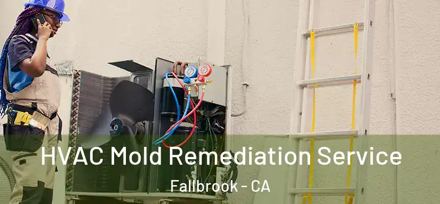  HVAC Mold Remediation Service Fallbrook - CA