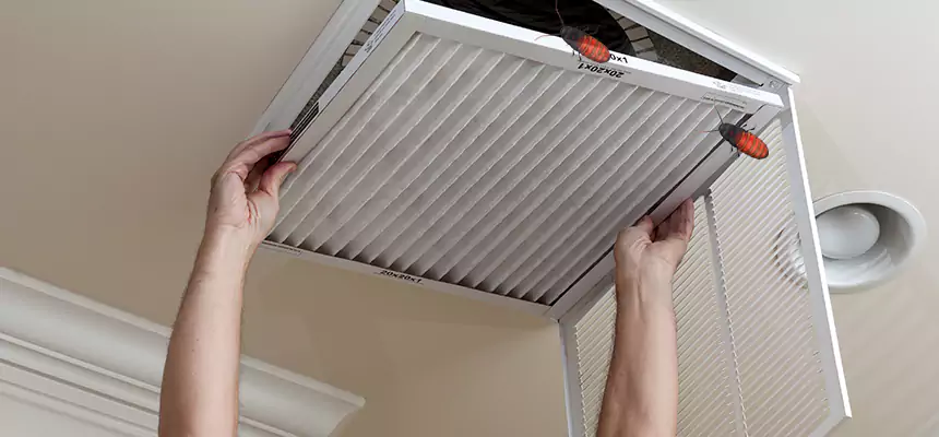 Our Insect Removal from Air Ducts Services in Fallbrook, CA