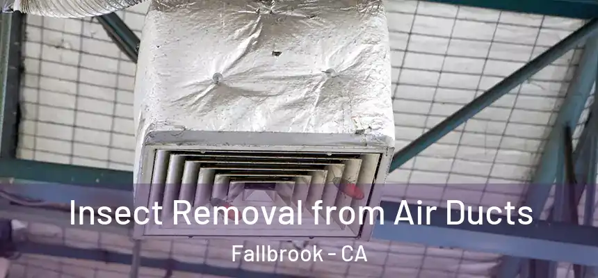  Insect Removal from Air Ducts Fallbrook - CA