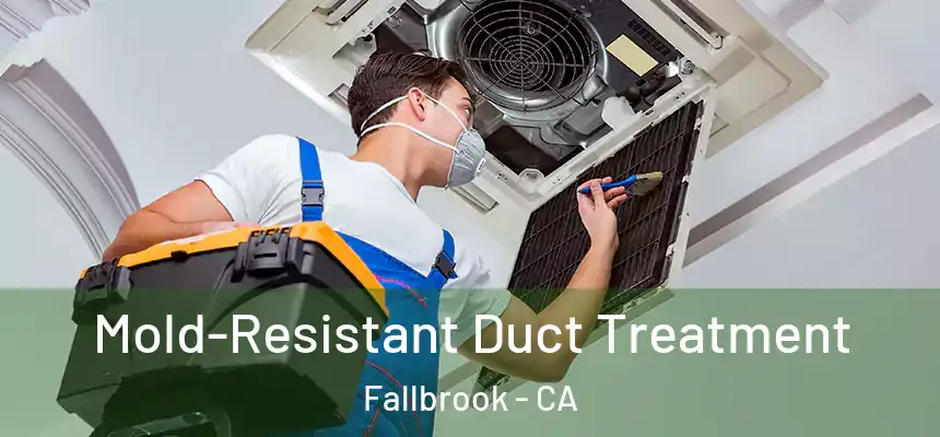  Mold-Resistant Duct Treatment Fallbrook - CA