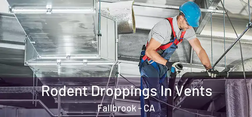  Rodent Droppings In Vents Fallbrook - CA