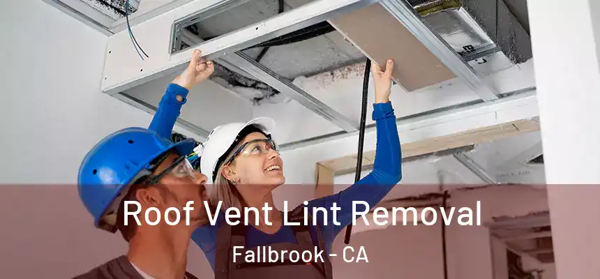  Roof Vent Lint Removal Fallbrook - CA