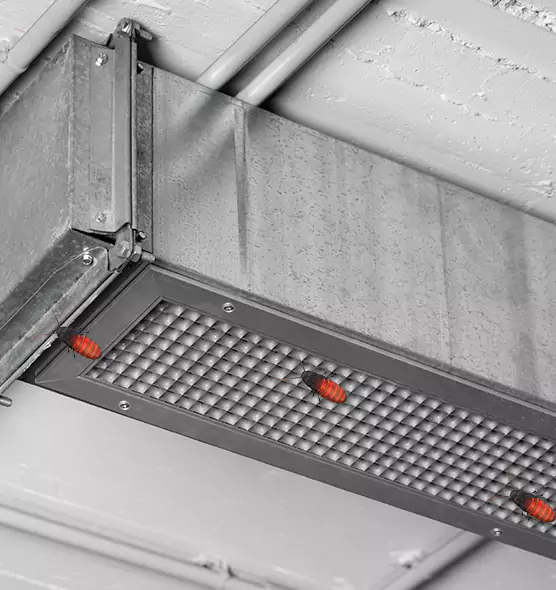 About Air Duct Cockroach Removal in Fallbrook, CA
