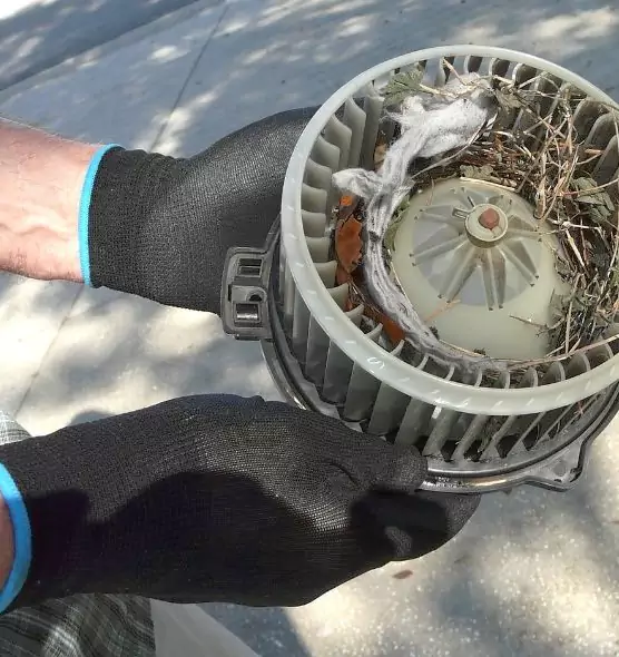 About Air Duct Rat Removal in Fallbrook, CA