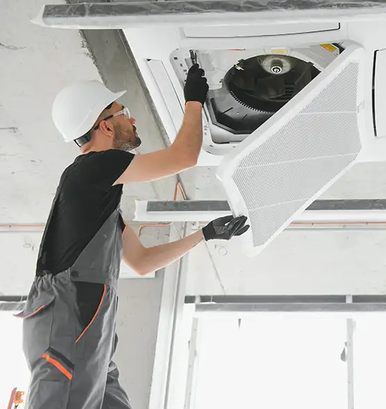 About Air Duct Rodent Removal in Fallbrook, CA