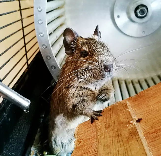 Why Homeowners & Businesses Trust Us Fallbrook, CA?