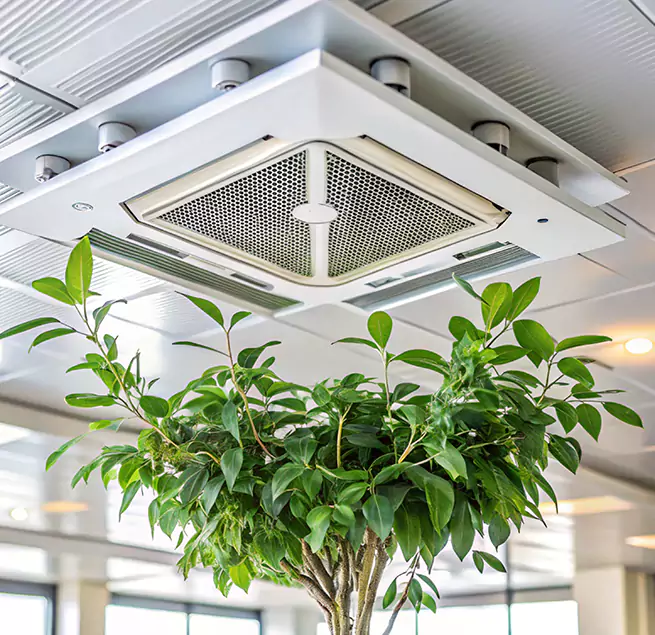 Why Homeowners & Businesses Trust Us in Fallbrook, CA?