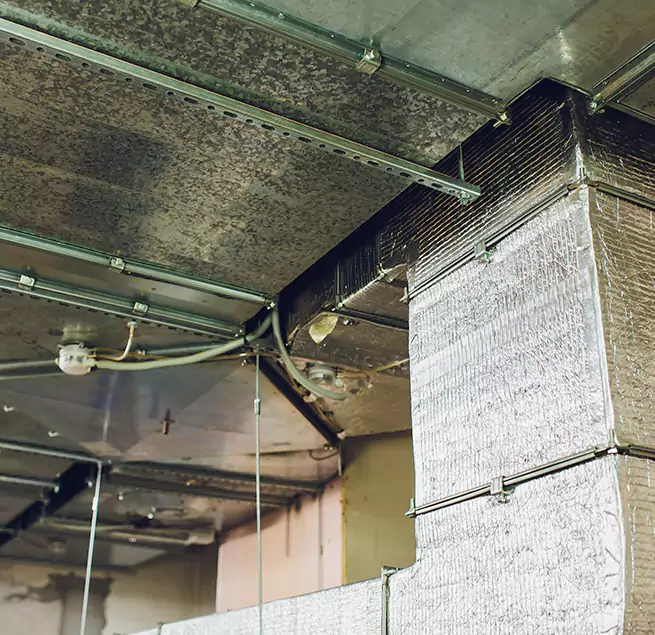 Why Homeowners & Businesses Trust Us in Fallbrook, CA?