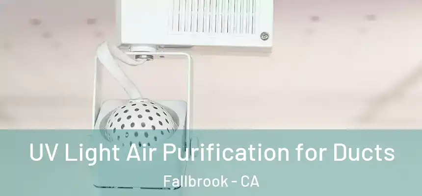  UV Light Air Purification for Ducts Fallbrook - CA
